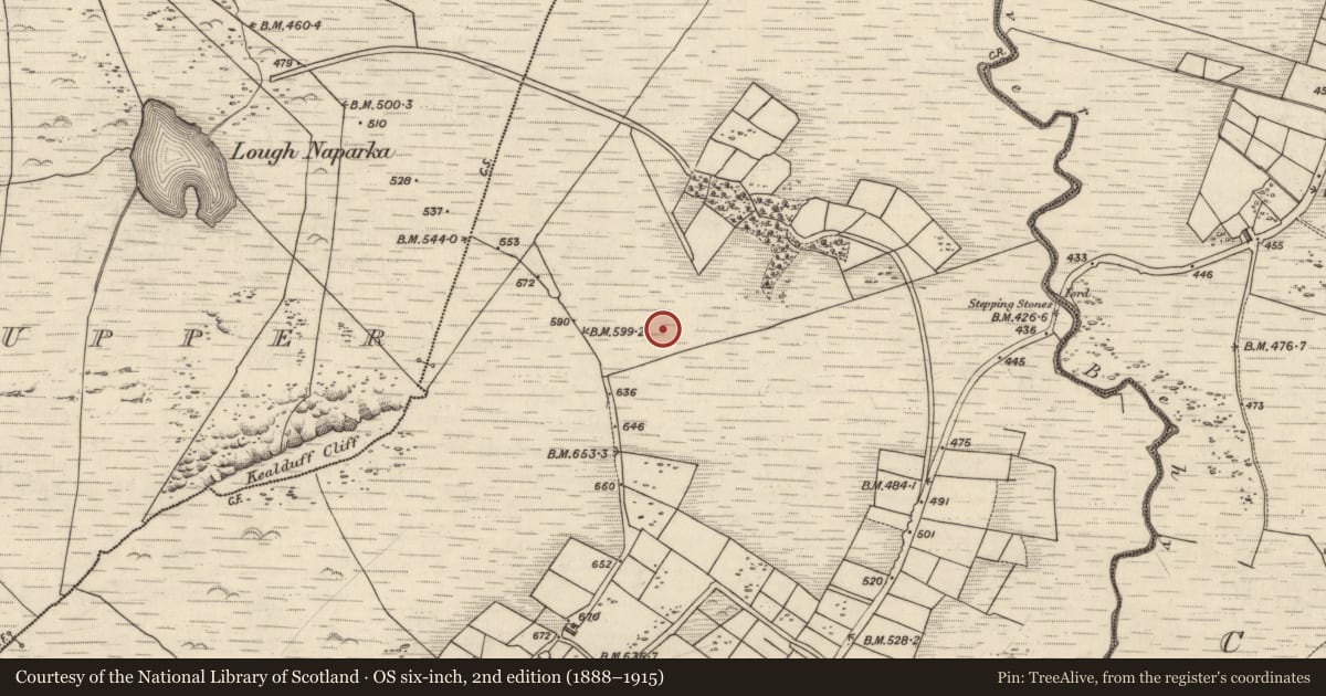 Ordnance Survey six-inch map, 2nd edition (1888–1915) covering the location of Rock art, Coomasaharn, County Kerry, with a pin at the register's coordinates