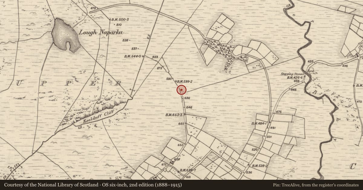 Ordnance Survey six-inch map, 2nd edition (1888–1915) covering the location of Cupmarked stone, Coomasaharn, County Kerry, with a pin at the register's coordinates