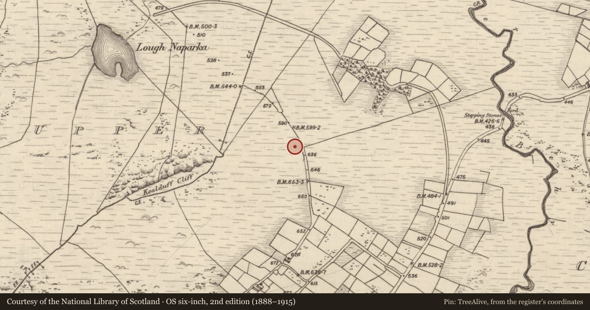 Ordnance Survey six-inch map, 2nd edition (1888–1915) covering the location of Rock art, Coomasaharn, County Kerry, with a pin at the register's coordinates