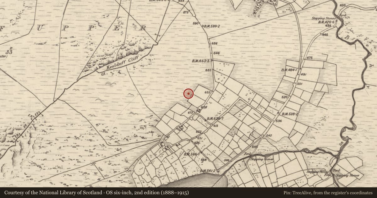 Ordnance Survey six-inch map, 2nd edition (1888–1915) covering the location of Rock art, Coomasaharn, County Kerry, with a pin at the register's coordinates