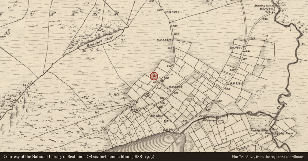 Ordnance Survey six-inch map, 2nd edition (1888–1915) covering the location of Rock art, Coomasaharn, County Kerry, with a pin at the register's coordinates