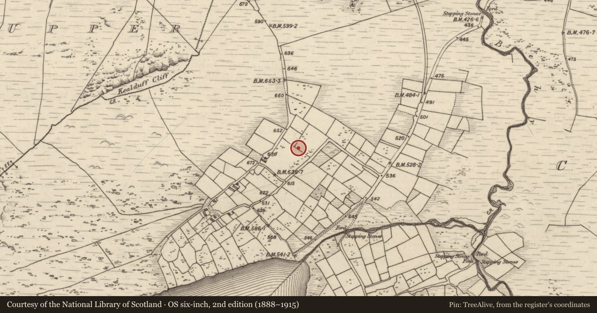 Ordnance Survey six-inch map, 2nd edition (1888–1915) covering the location of Ringfort - cashel, Coomasaharn, County Kerry, with a pin at the register's coordinates