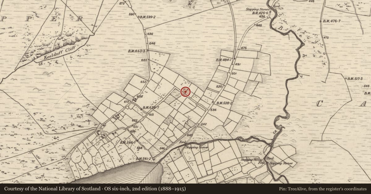 Ordnance Survey six-inch map, 2nd edition (1888–1915) covering the location of Rock art, Coomasaharn, County Kerry, with a pin at the register's coordinates