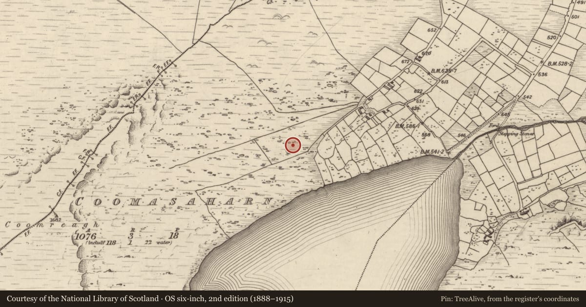 Ordnance Survey six-inch map, 2nd edition (1888–1915) covering the location of Rock art, Coomasaharn, County Kerry, with a pin at the register's coordinates