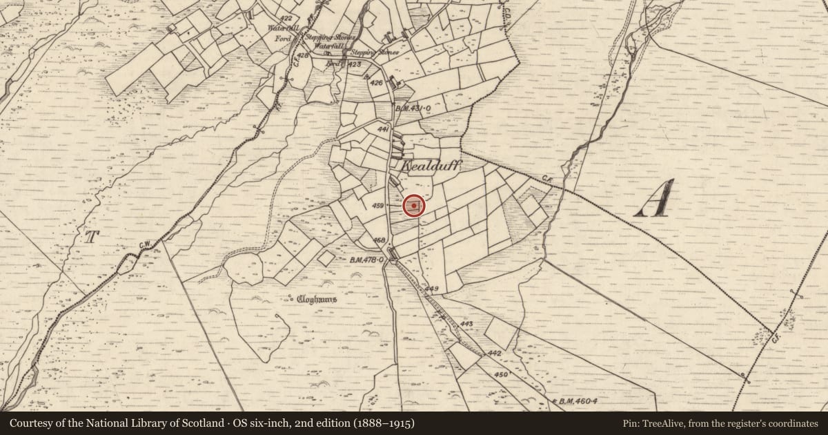 Ordnance Survey six-inch map, 2nd edition (1888–1915) covering the location of Rock art, Kealduff Upper, County Kerry, with a pin at the register's coordinates