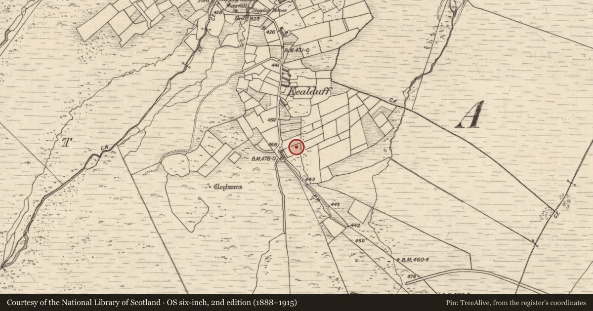 Ordnance Survey six-inch map, 2nd edition (1888–1915) covering the location of Rock art, Kealduff Upper, County Kerry, with a pin at the register's coordinates