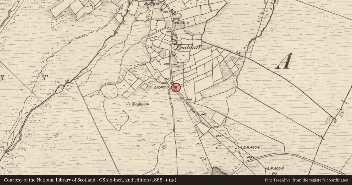 Ordnance Survey six-inch map, 2nd edition (1888–1915) covering the location of Rock art, Kealduff Upper, County Kerry, with a pin at the register's coordinates