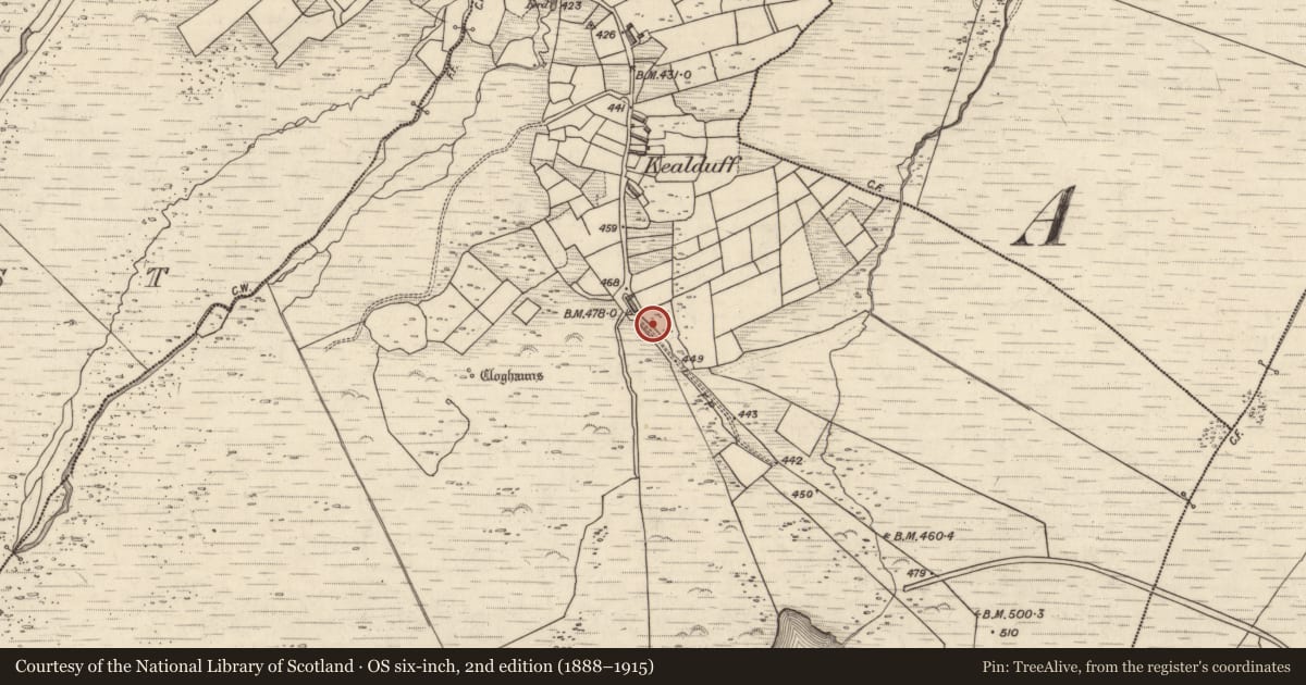 Ordnance Survey six-inch map, 2nd edition (1888–1915) covering the location of Rock art, Kealduff Upper, County Kerry, with a pin at the register's coordinates