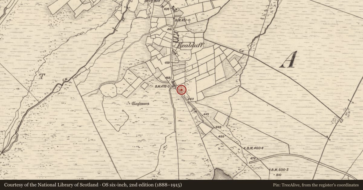 Ordnance Survey six-inch map, 2nd edition (1888–1915) covering the location of Rock art, Kealduff Upper, County Kerry, with a pin at the register's coordinates