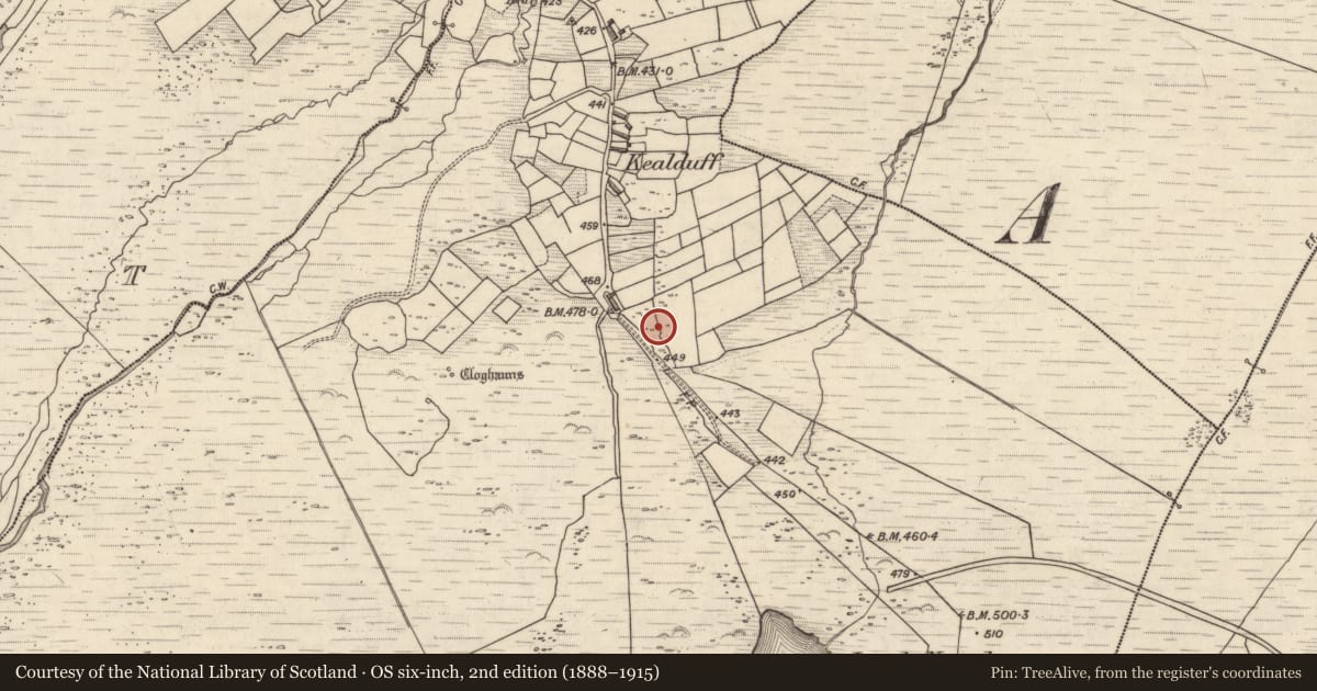 Ordnance Survey six-inch map, 2nd edition (1888–1915) covering the location of Rock art, Kealduff Upper, County Kerry, with a pin at the register's coordinates