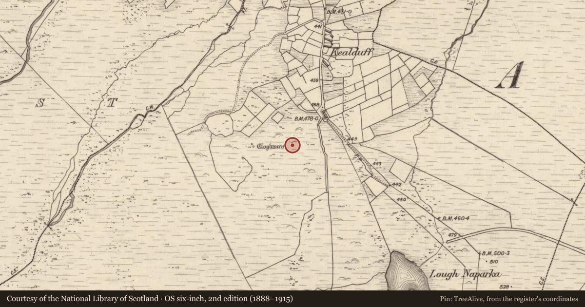 Ordnance Survey six-inch map, 2nd edition (1888–1915) covering the location of Rock art, Kealduff Upper, County Kerry, with a pin at the register's coordinates