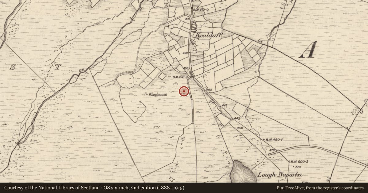 Ordnance Survey six-inch map, 2nd edition (1888–1915) covering the location of Rock art, Kealduff Upper, County Kerry, with a pin at the register's coordinates