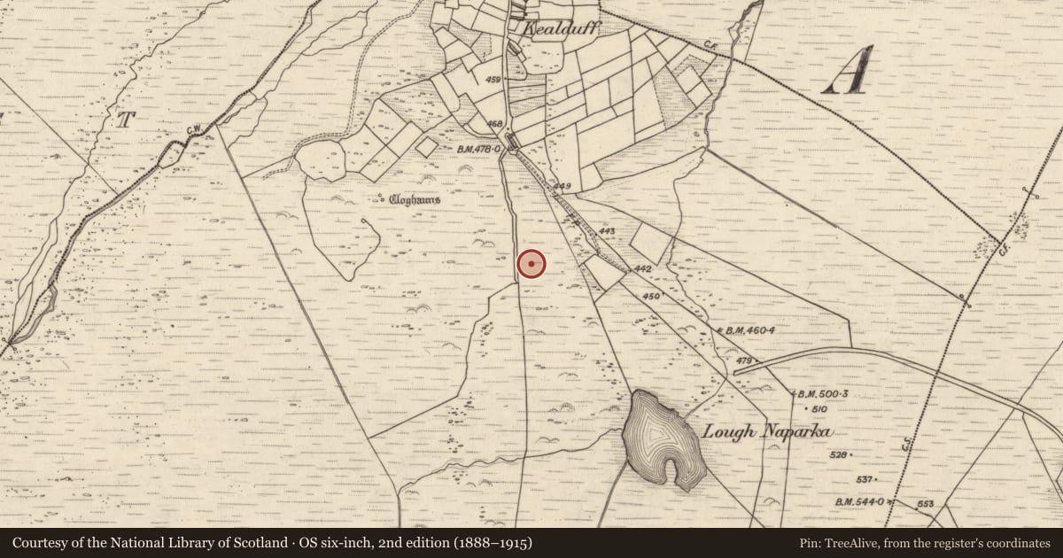 Ordnance Survey six-inch map, 2nd edition (1888–1915) covering the location of Rock art, Kealduff Upper, County Kerry, with a pin at the register's coordinates