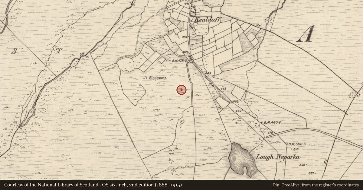 Ordnance Survey six-inch map, 2nd edition (1888–1915) covering the location of Rock art, Kealduff Upper, County Kerry, with a pin at the register's coordinates