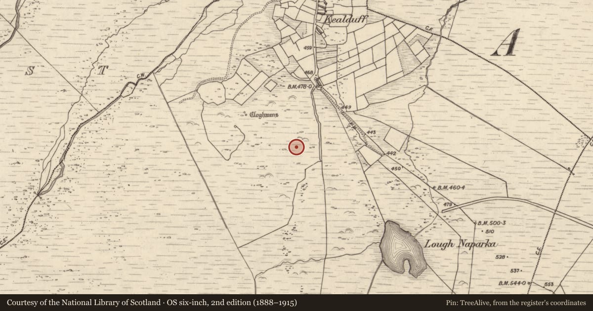 Ordnance Survey six-inch map, 2nd edition (1888–1915) covering the location of Rock art, Kealduff Upper, County Kerry, with a pin at the register's coordinates
