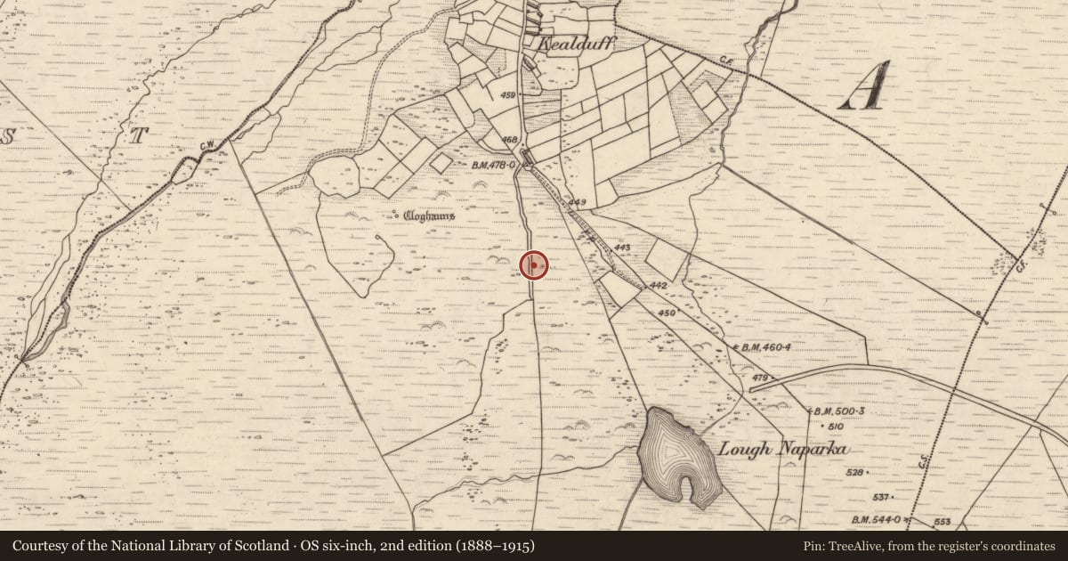 Ordnance Survey six-inch map, 2nd edition (1888–1915) covering the location of Rock art, Kealduff Upper, County Kerry, with a pin at the register's coordinates