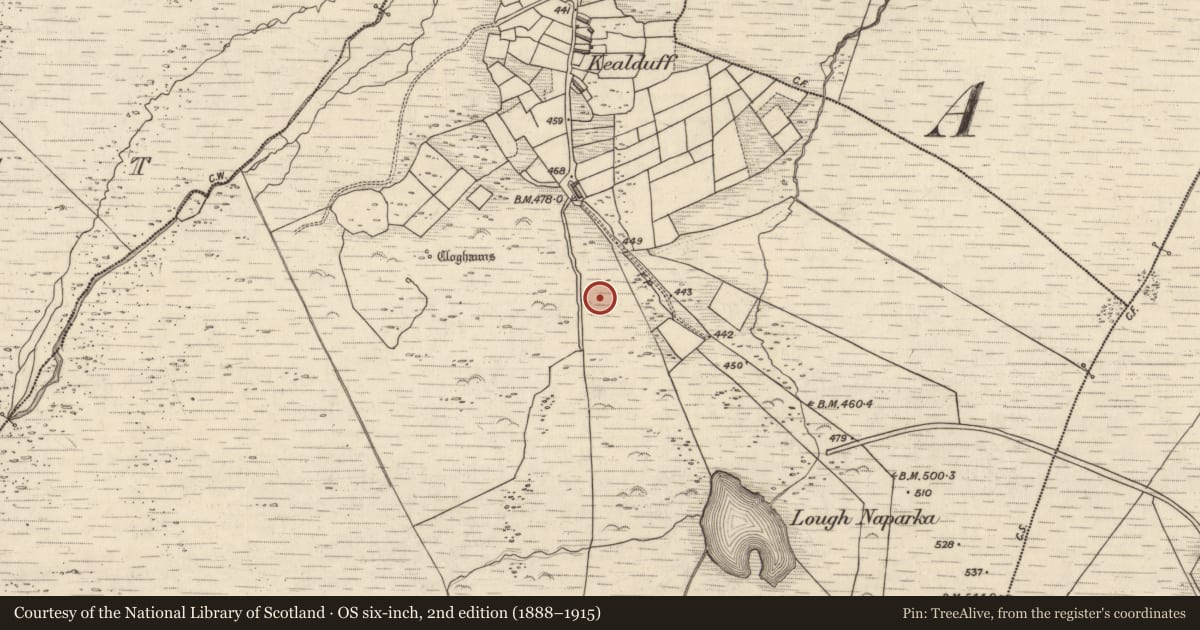 Ordnance Survey six-inch map, 2nd edition (1888–1915) covering the location of Rock art, Kealduff Upper, County Kerry, with a pin at the register's coordinates