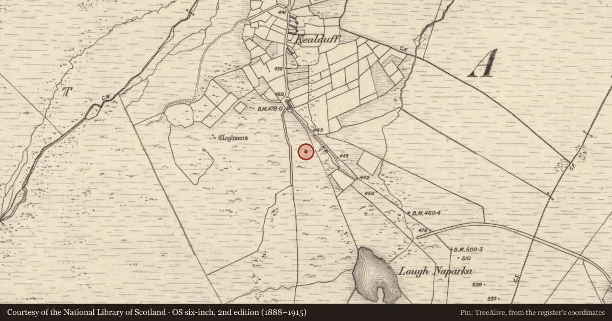 Ordnance Survey six-inch map, 2nd edition (1888–1915) covering the location of Rock art, Kealduff Upper, County Kerry, with a pin at the register's coordinates