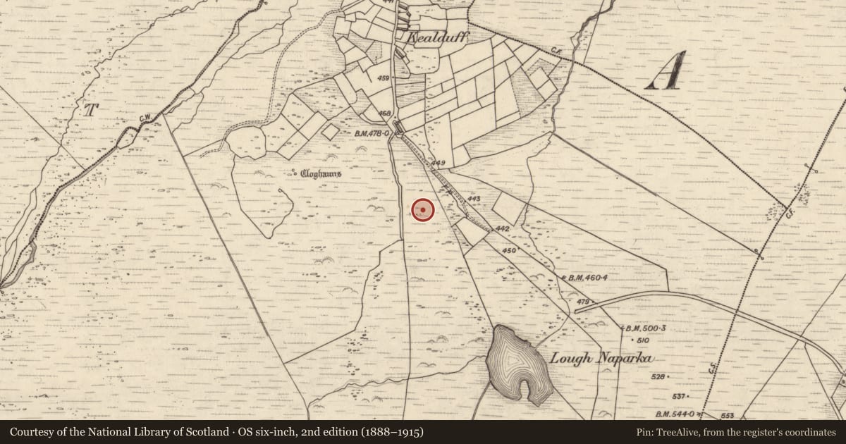 Ordnance Survey six-inch map, 2nd edition (1888–1915) covering the location of Rock art, Kealduff Upper, County Kerry, with a pin at the register's coordinates