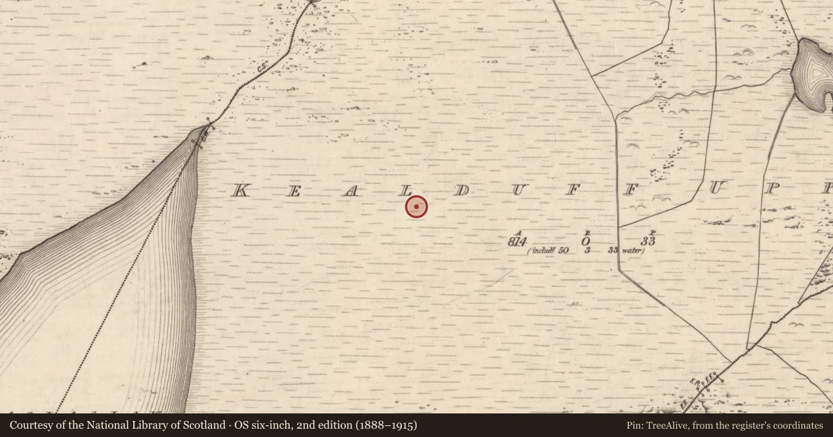 Ordnance Survey six-inch map, 2nd edition (1888–1915) covering the location of Field system, Kealduff Upper, County Kerry, with a pin at the register's coordinates