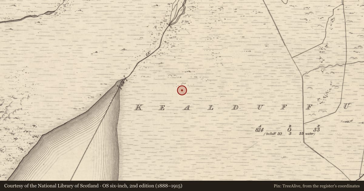 Ordnance Survey six-inch map, 2nd edition (1888–1915) covering the location of Hut site, Kealduff Upper, County Kerry, with a pin at the register's coordinates