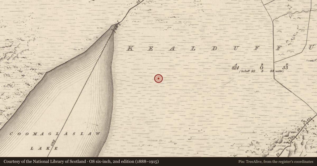 Ordnance Survey six-inch map, 2nd edition (1888–1915) covering the location of Hut site, Kealduff Upper, County Kerry, with a pin at the register's coordinates