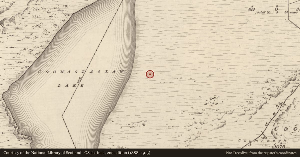 Ordnance Survey six-inch map, 2nd edition (1888–1915) covering the location of Hut site, Kealduff Upper, County Kerry, with a pin at the register's coordinates