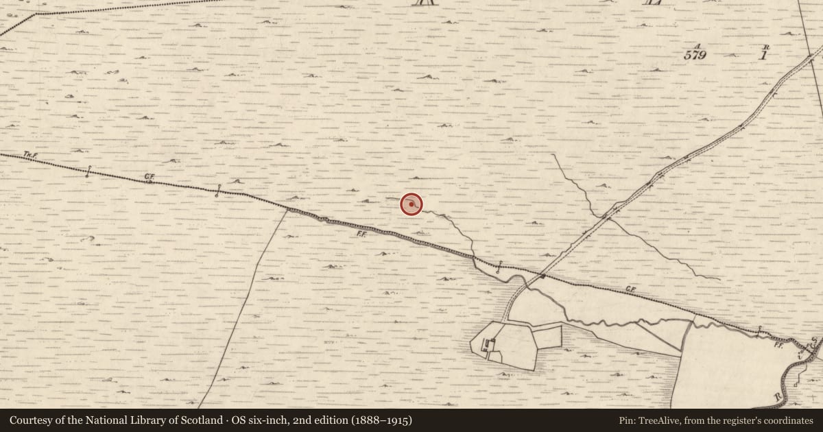 Ordnance Survey six-inch map, 2nd edition (1888–1915) covering the location of Field system, Keel, County Kerry, with a pin at the register's coordinates