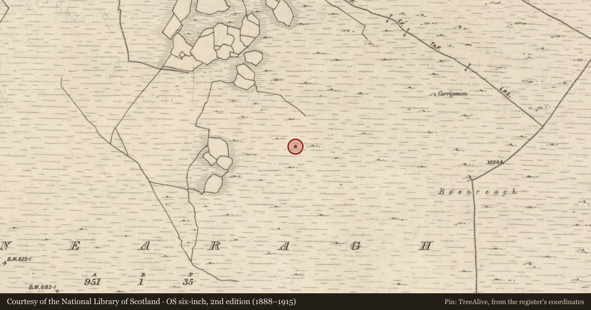 Ordnance Survey six-inch map, 2nd edition (1888–1915) covering the location of Enclosure, Canearagh, County Kerry, with a pin at the register's coordinates