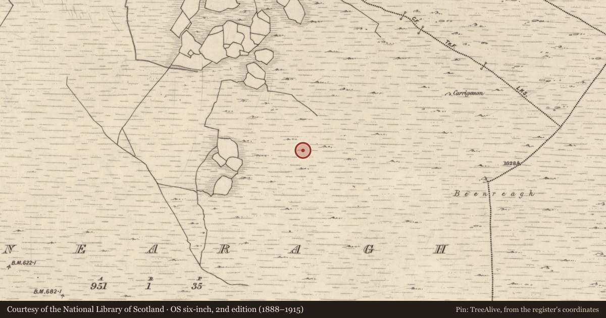 Ordnance Survey six-inch map, 2nd edition (1888–1915) covering the location of Enclosure, Canearagh, County Kerry, with a pin at the register's coordinates