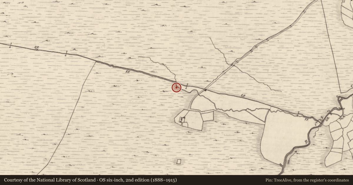 Ordnance Survey six-inch map, 2nd edition (1888–1915) covering the location of Enclosure, Creeveen, County Kerry, with a pin at the register's coordinates