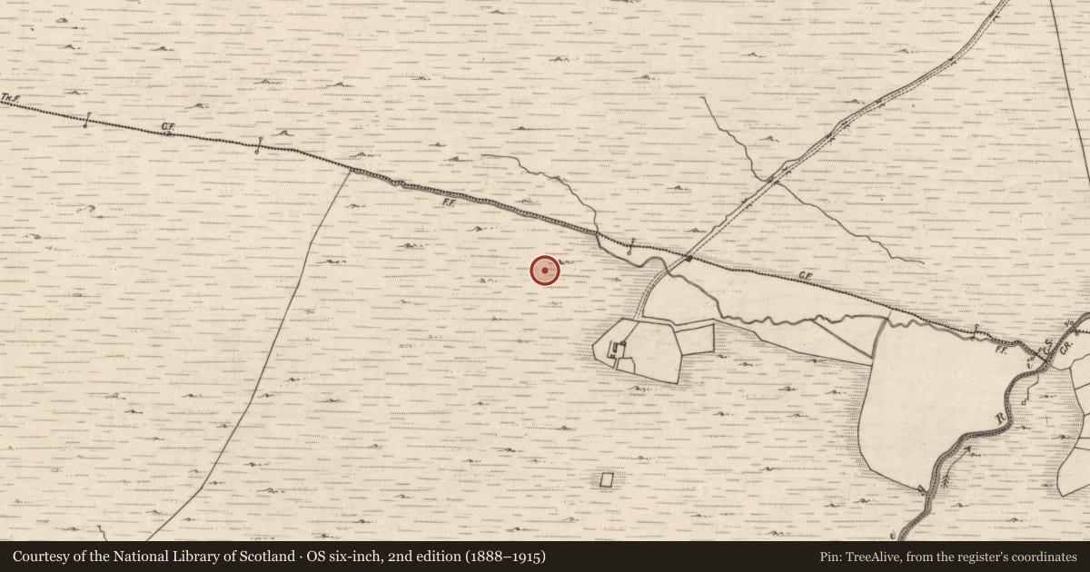 Ordnance Survey six-inch map, 2nd edition (1888–1915) covering the location of Fulacht fia, Creeveen, County Kerry, with a pin at the register's coordinates