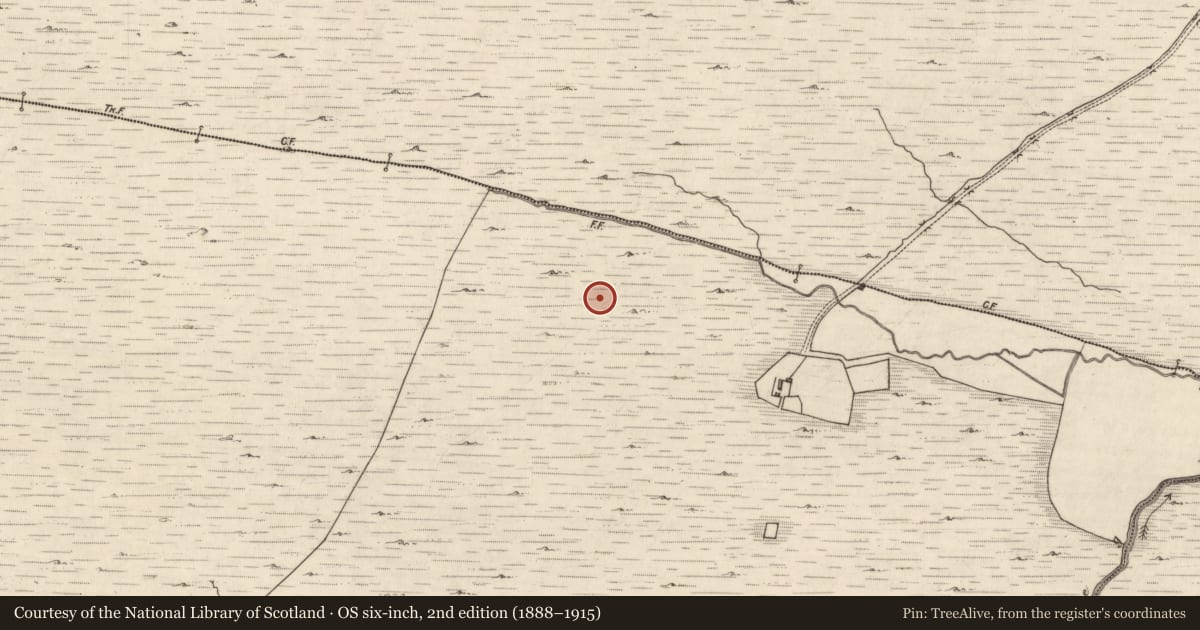 Ordnance Survey six-inch map, 2nd edition (1888–1915) covering the location of Fulacht fia, Creeveen, County Kerry, with a pin at the register's coordinates