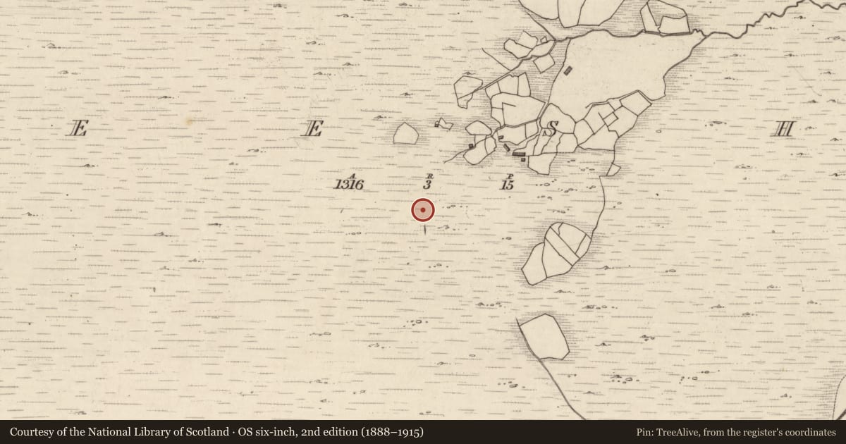Ordnance Survey six-inch map, 2nd edition (1888–1915) covering the location of Field boundary, Neesha, County Kerry, with a pin at the register's coordinates
