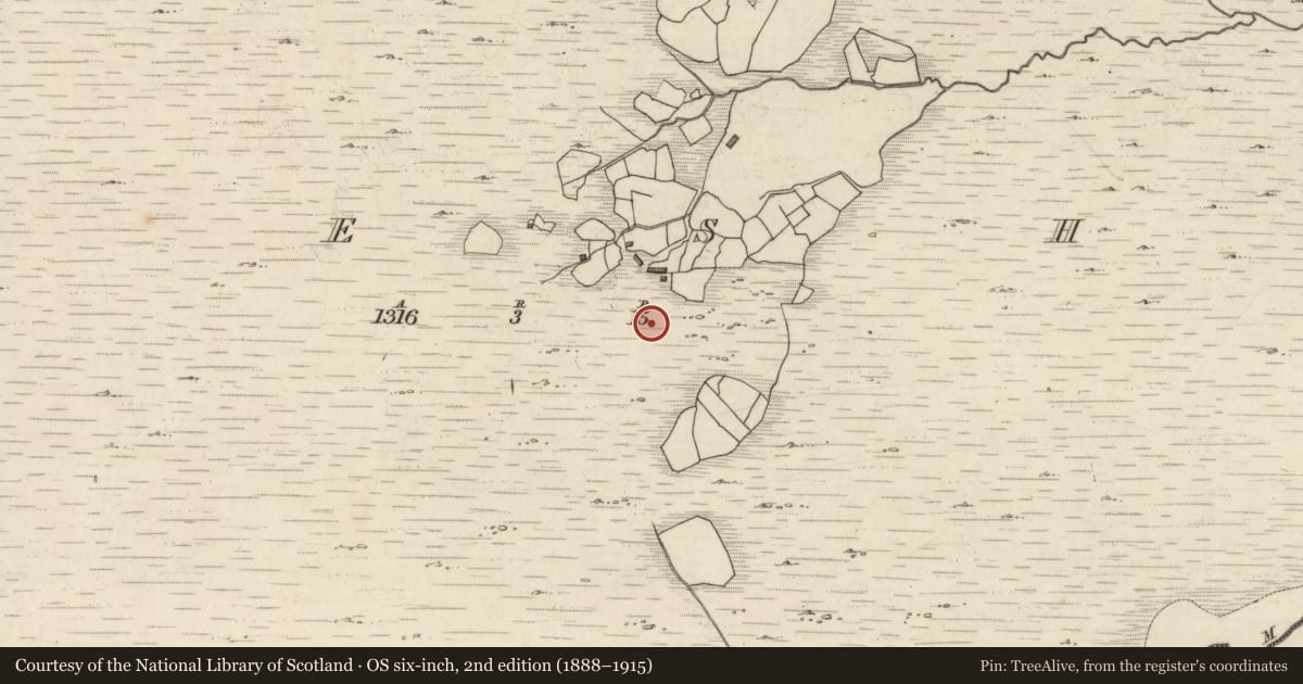 Ordnance Survey six-inch map, 2nd edition (1888–1915) covering the location of Rock art, Neesha, County Kerry, with a pin at the register's coordinates