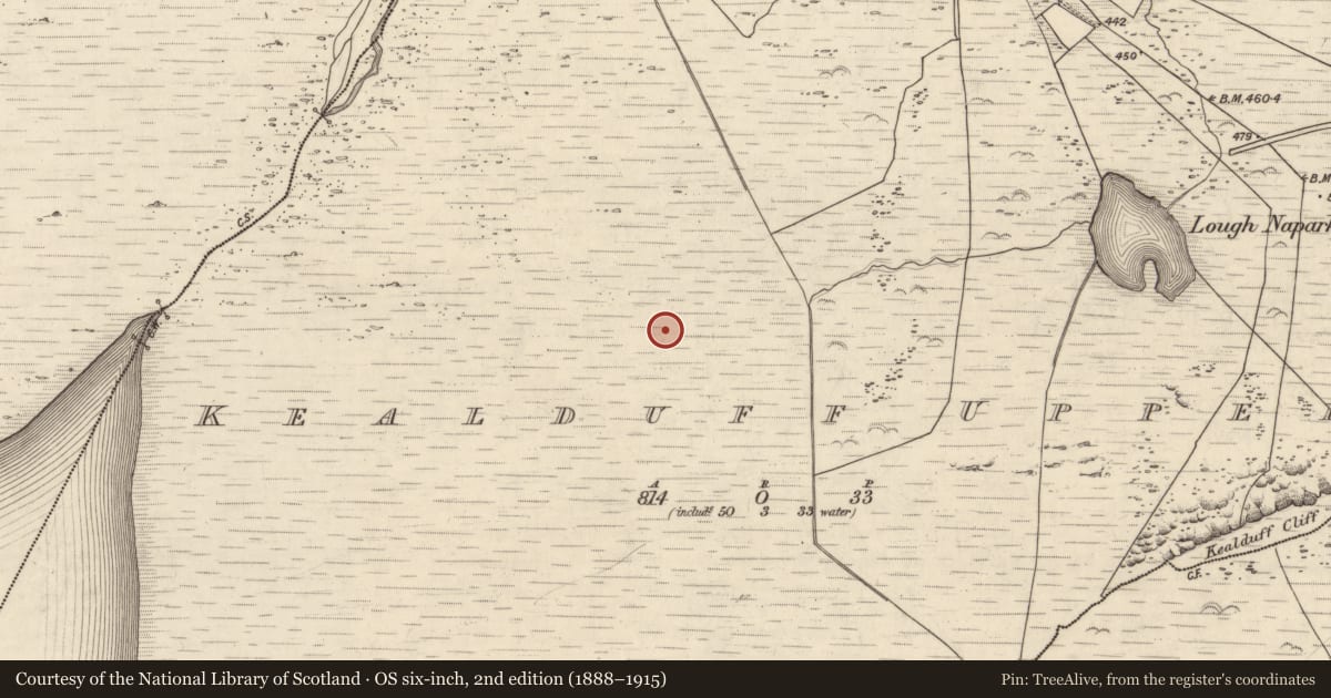 Ordnance Survey six-inch map, 2nd edition (1888–1915) covering the location of Rock art, Kealduff Upper, County Kerry, with a pin at the register's coordinates