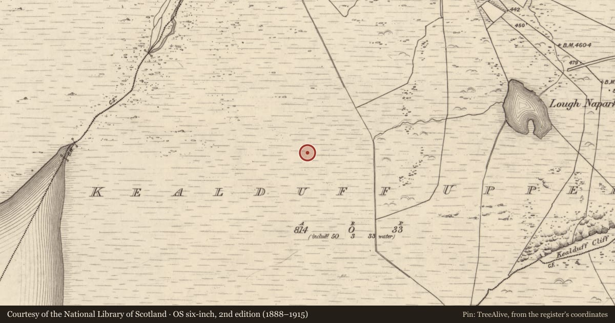 Ordnance Survey six-inch map, 2nd edition (1888–1915) covering the location of Rock art, Kealduff Upper, County Kerry, with a pin at the register's coordinates