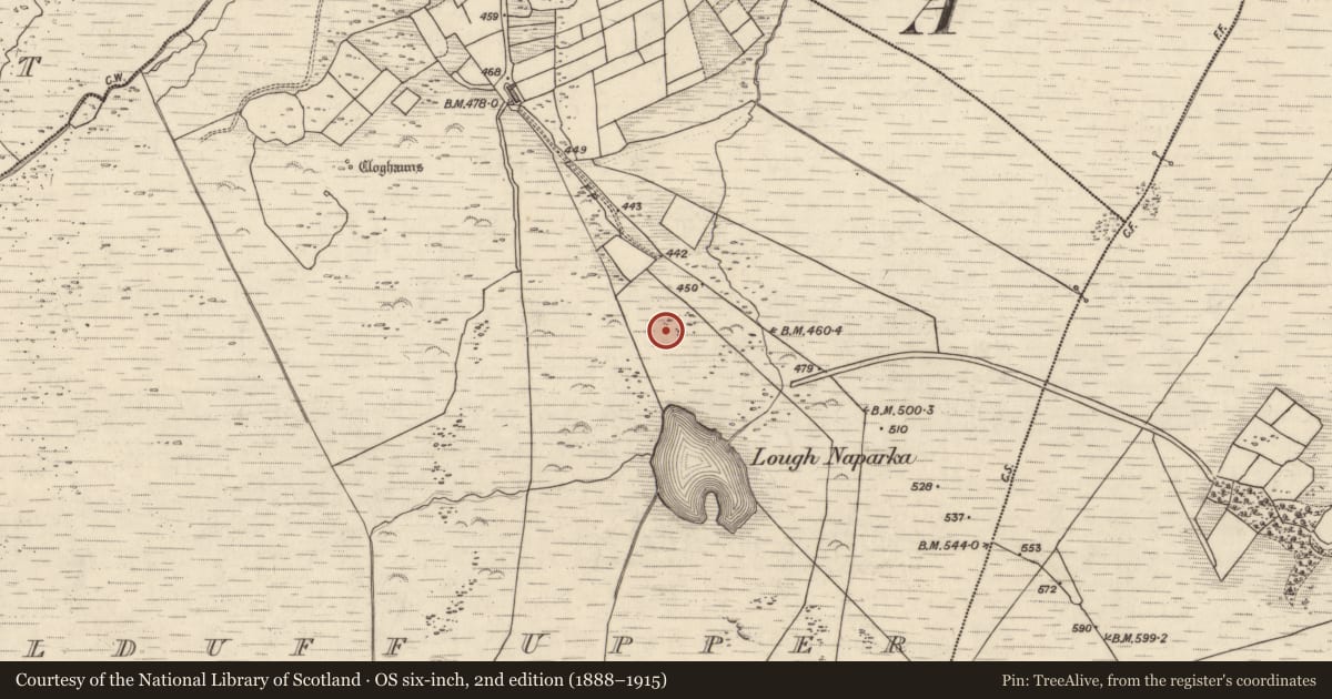 Ordnance Survey six-inch map, 2nd edition (1888–1915) covering the location of Hut site, Kealduff Upper, County Kerry, with a pin at the register's coordinates