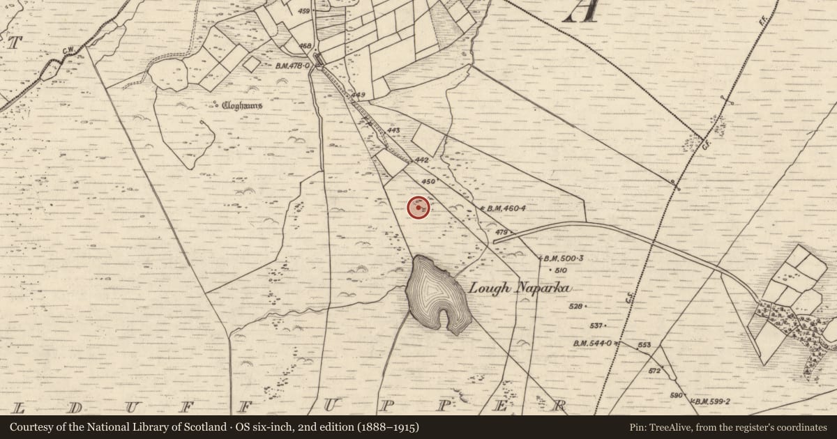 Ordnance Survey six-inch map, 2nd edition (1888–1915) covering the location of Souterrain, Kealduff Upper, County Kerry, with a pin at the register's coordinates