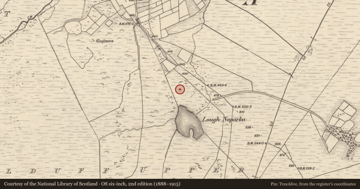 Ordnance Survey six-inch map, 2nd edition (1888–1915) covering the location of Field boundary, Kealduff Upper, County Kerry, with a pin at the register's coordinates