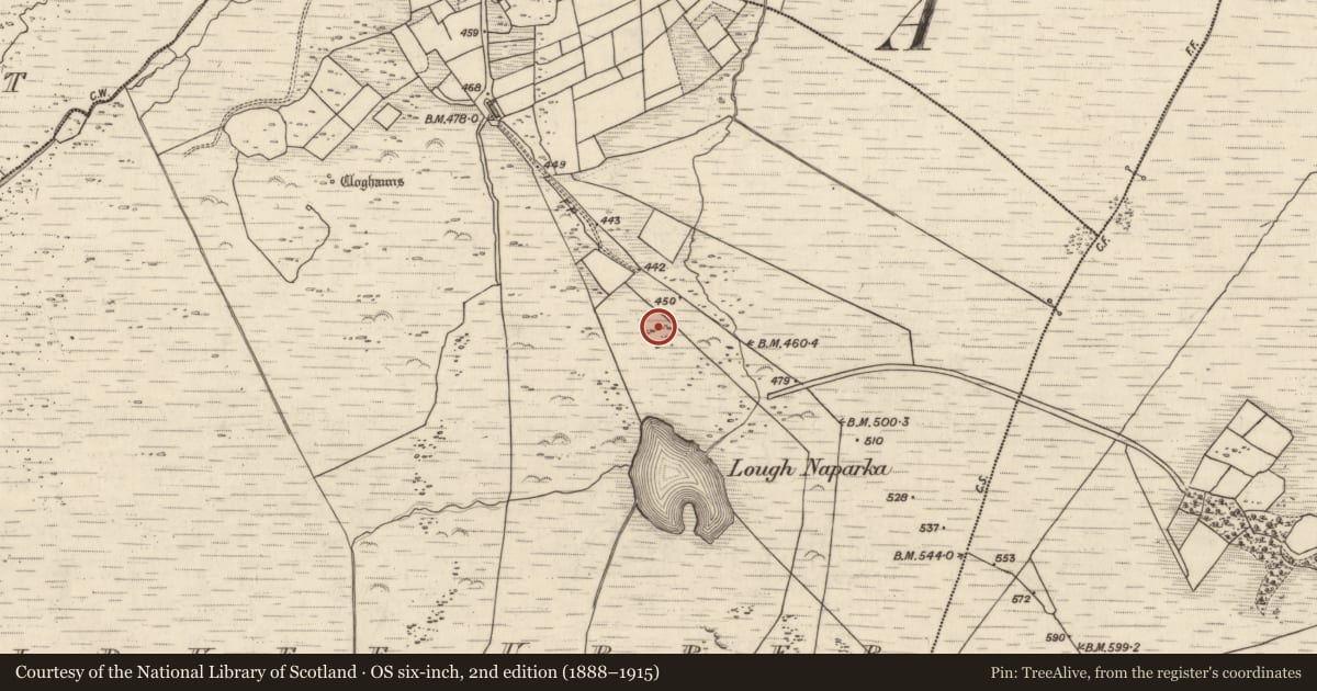 Ordnance Survey six-inch map, 2nd edition (1888–1915) covering the location of Hut site, Kealduff Upper, County Kerry, with a pin at the register's coordinates