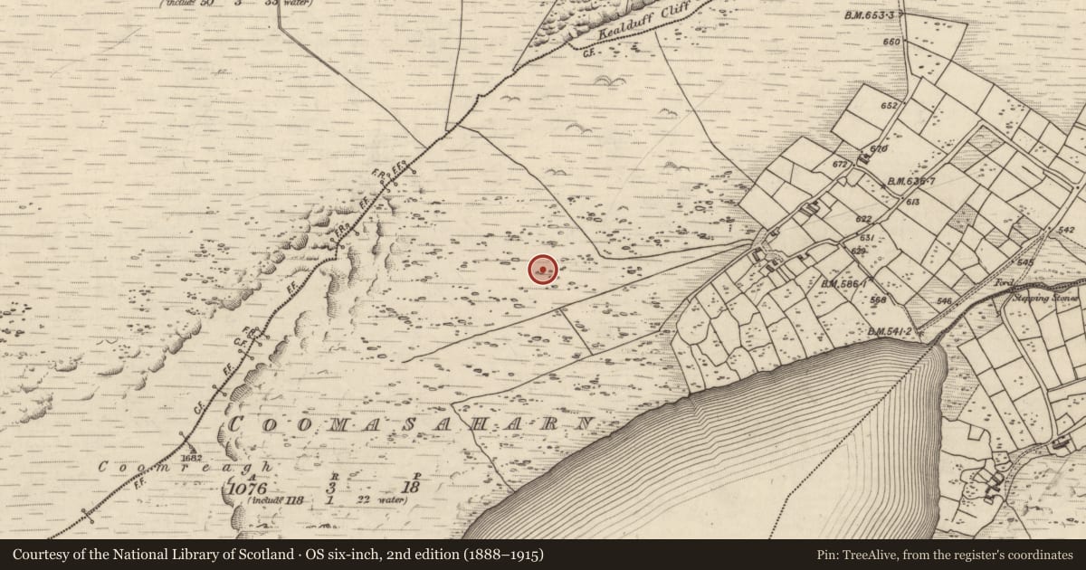 Ordnance Survey six-inch map, 2nd edition (1888–1915) covering the location of Hut site, Coomasaharn, County Kerry, with a pin at the register's coordinates
