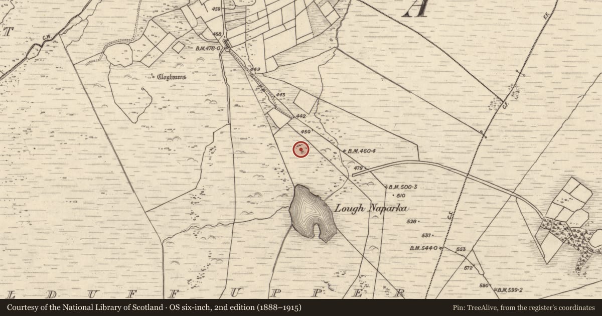 Ordnance Survey six-inch map, 2nd edition (1888–1915) covering the location of Hut site, Kealduff Upper, County Kerry, with a pin at the register's coordinates