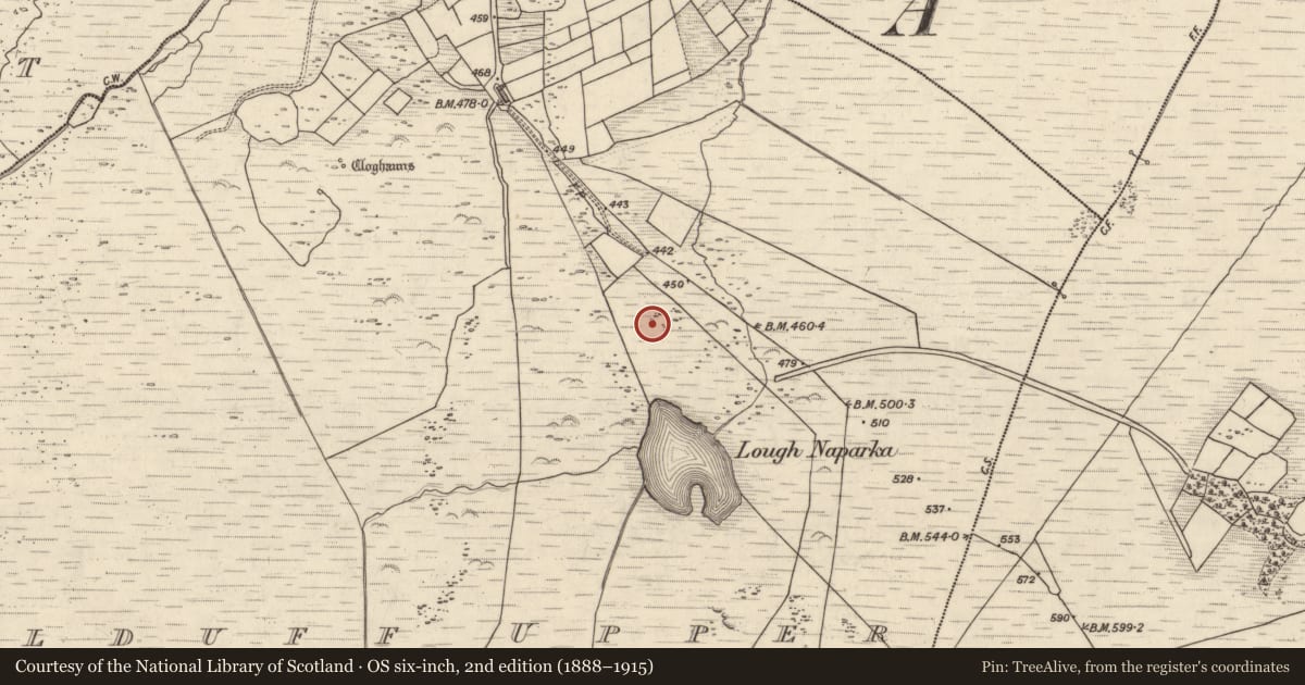 Ordnance Survey six-inch map, 2nd edition (1888–1915) covering the location of Hut site, Kealduff Upper, County Kerry, with a pin at the register's coordinates