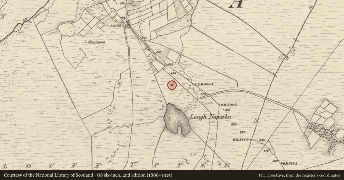 Ordnance Survey six-inch map, 2nd edition (1888–1915) covering the location of Enclosure, Kealduff Upper, County Kerry, with a pin at the register's coordinates