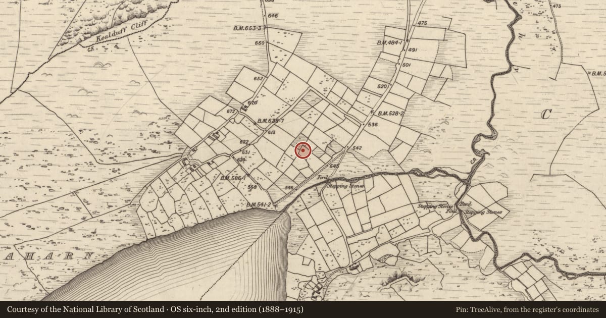 Ordnance Survey six-inch map, 2nd edition (1888–1915) covering the location of Rock art, Coomasaharn, County Kerry, with a pin at the register's coordinates