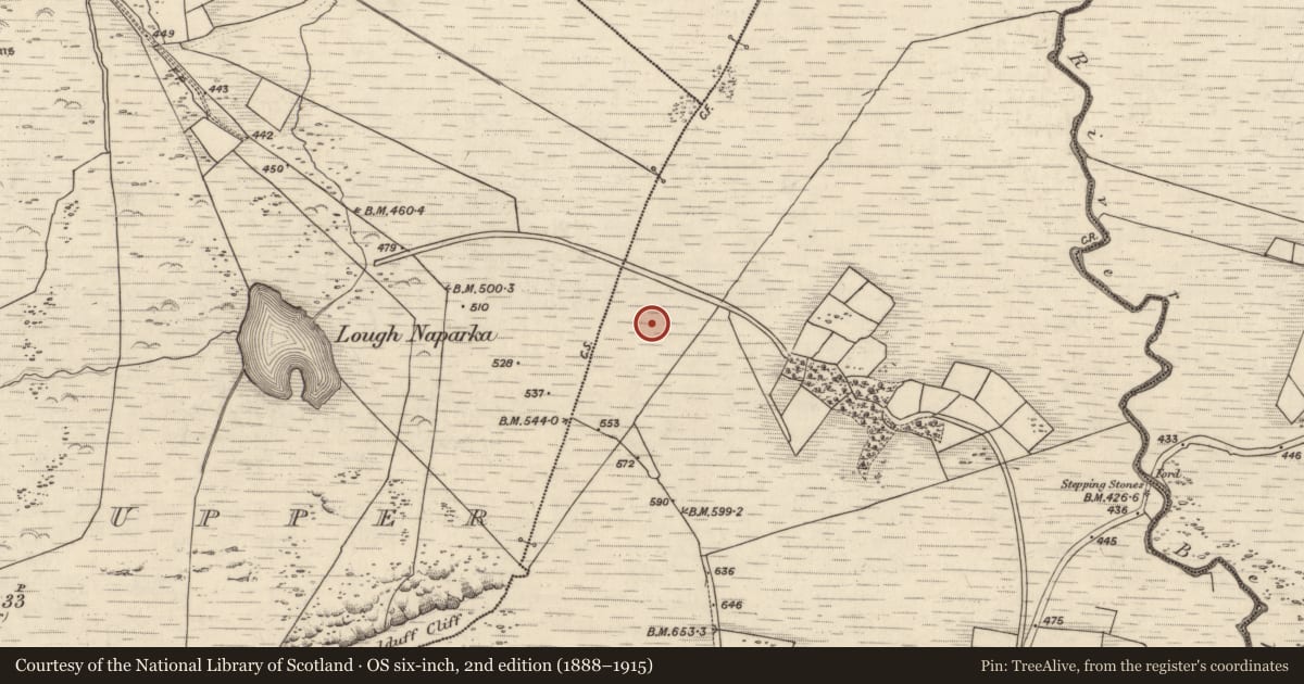 Ordnance Survey six-inch map, 2nd edition (1888–1915) covering the location of Rock art, Coomasaharn, County Kerry, with a pin at the register's coordinates