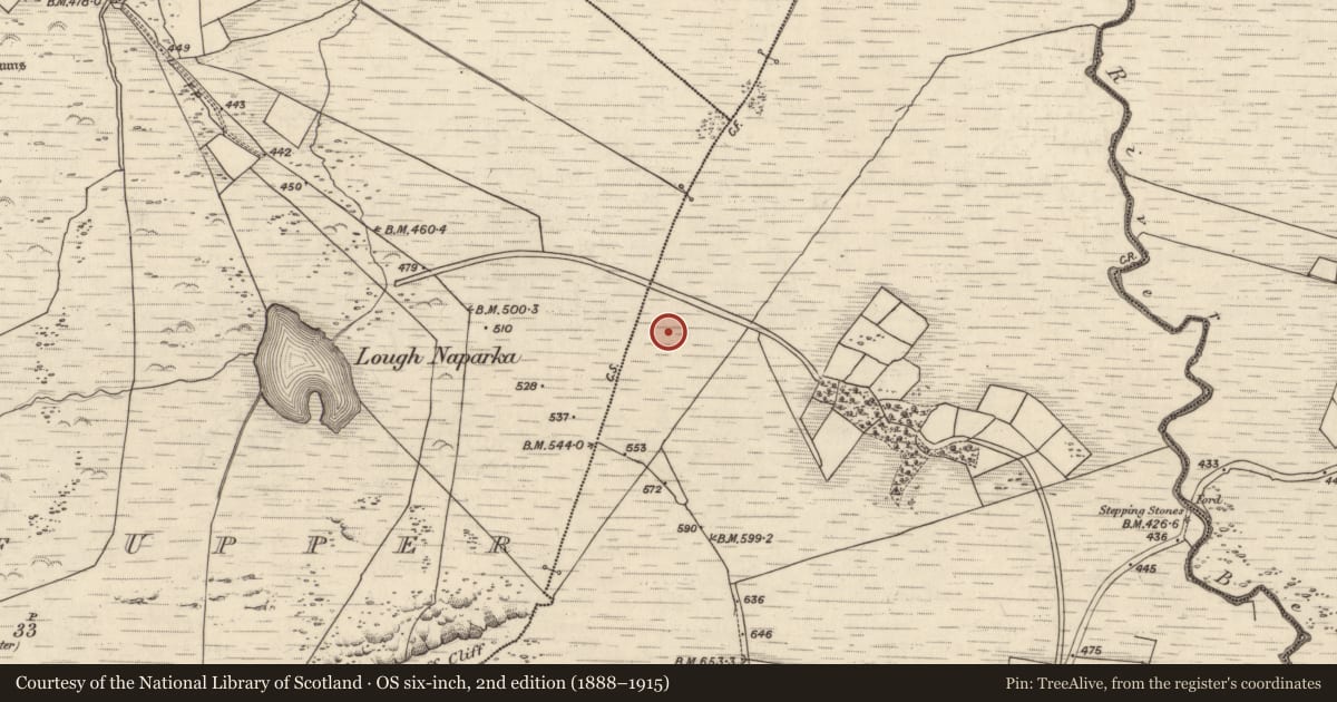 Ordnance Survey six-inch map, 2nd edition (1888–1915) covering the location of Rock art, Coomasaharn, County Kerry, with a pin at the register's coordinates