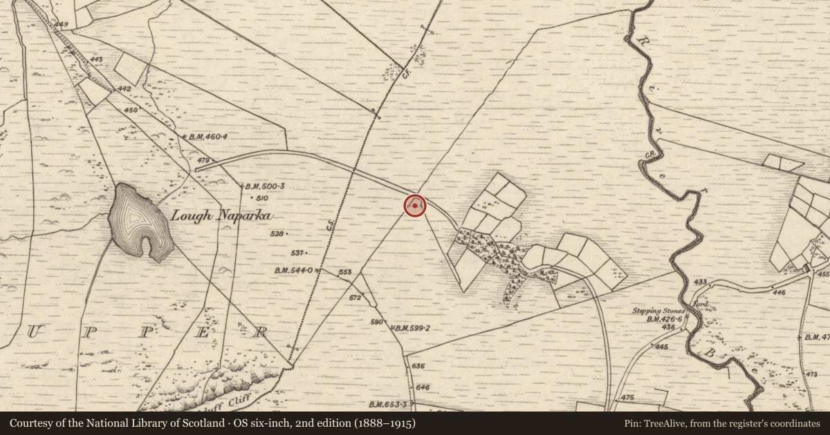Ordnance Survey six-inch map, 2nd edition (1888–1915) covering the location of Rock art, Coomasaharn, County Kerry, with a pin at the register's coordinates