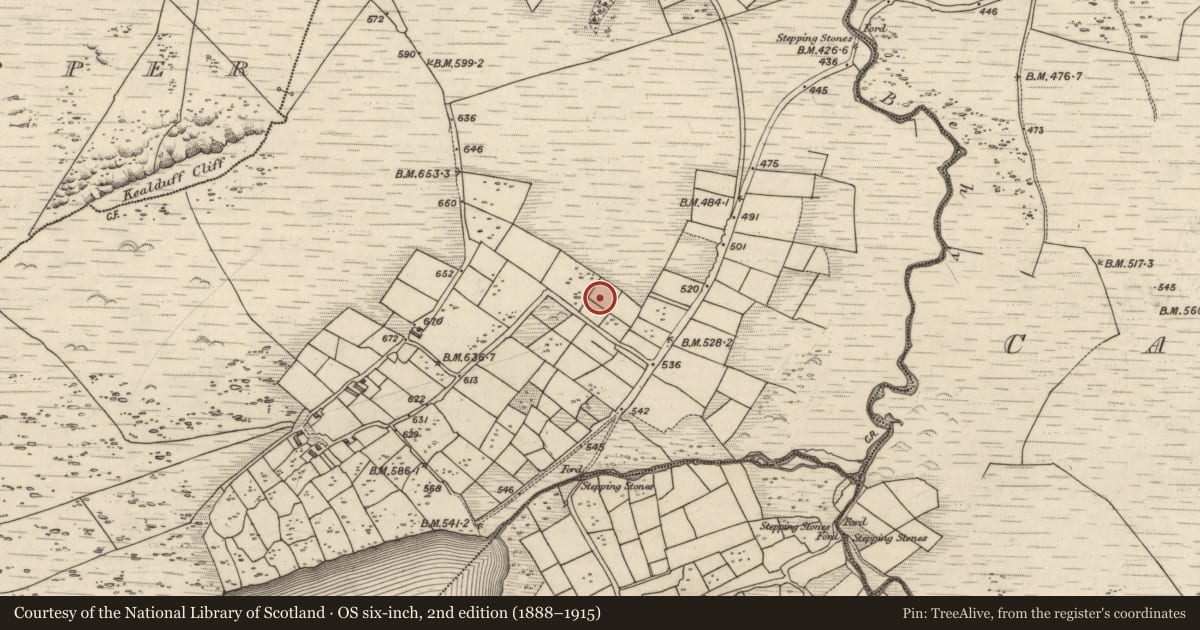 Ordnance Survey six-inch map, 2nd edition (1888–1915) covering the location of Rock art, Coomasaharn, County Kerry, with a pin at the register's coordinates